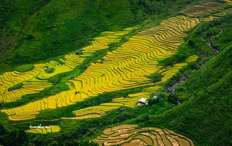 60 ảnh đẹp Việt Nam, ảnh phong cảnh đẹp nhất Việt Nam - Mỗi ngày một tri  thức mới - Web's Diệu Hiền